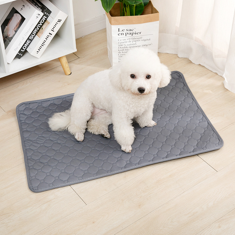 Couverture absorbante réutilis - Mattress Protector Waterproof avis et prix